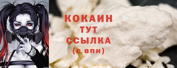 МДПВ Лагань
