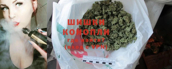 МДПВ Лагань