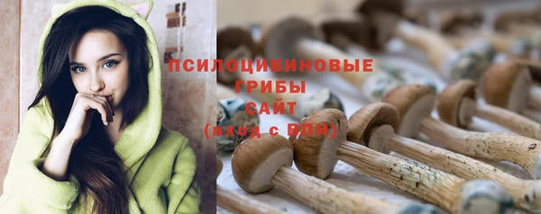 МДПВ Лагань