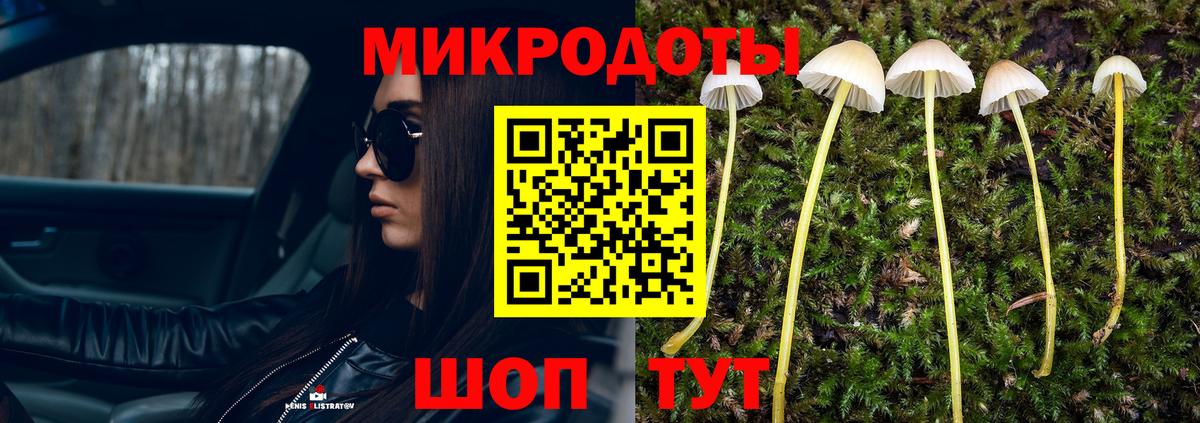 Галлюциногенные грибы Psilocybine cubensis Иркутск
