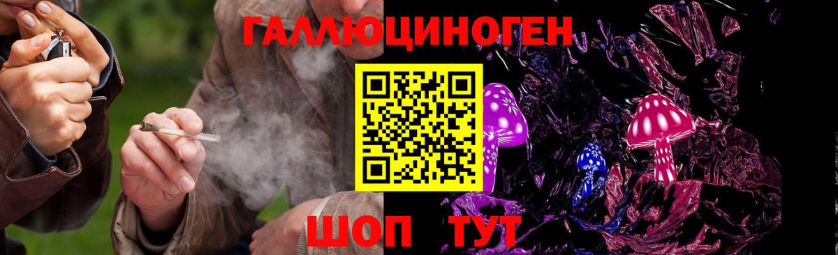 купить наркоту  Псилоцибиновые грибы Psilocybe  Вход с VPN  Иркутск 
