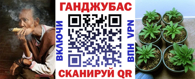 купить наркотики сайты  Иркутск  Шишки марихуана план 